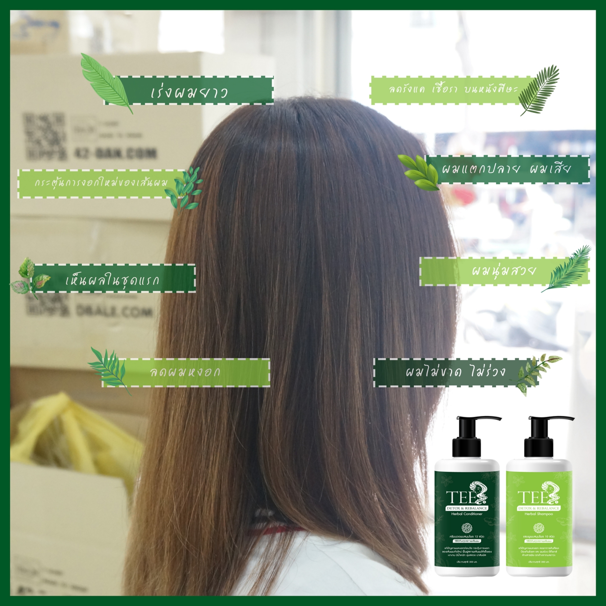 แชมพูครีมนวดผม แก้ผมหงอก ลดผมร่วง เร่งผมยาว ขจัดรังแค ราคาเซ็ตคู่ไม่แพง ถูกมาก สั่งซื้อผ่าน LAZADA SHOPEE ได้เลย